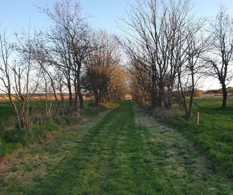 Le camping Le Léhan en Bretagne propose des emplacements spacieux et ombragés, pour les cyclistes